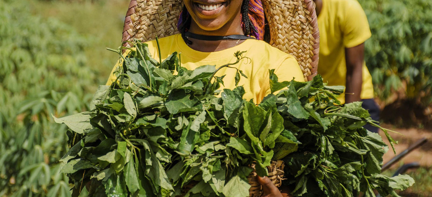Famille de Récolteurs